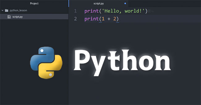 インスタもPythonで作られた！今覚えるべきプログラミング言語第1位「Python(パイソン)」